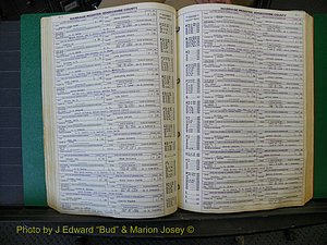 Edgecombe Marriages, A-E, 1867-1937 (209).JPG