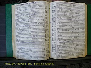 Edgecombe Marriages, A-E, 1867-1937 (212).JPG