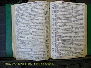 Edgecombe Marriages, A-E, 1867-1937 (227).JPG
