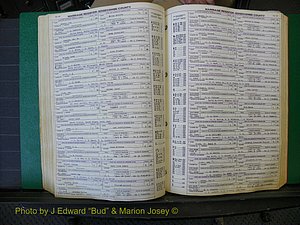 Edgecombe Marriages, A-E, 1867-1937 (230).JPG