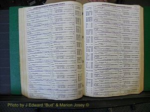 Edgecombe Marriages, A-E, 1867-1937 (233).JPG