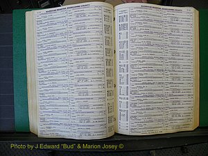 Edgecombe Marriages, A-E, 1867-1937 (234).JPG