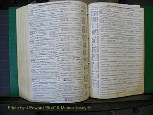 Edgecombe Marriages, A-E, 1867-1937 (419).JPG