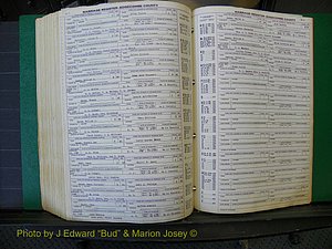 Edgecombe Marriages, A-E, 1867-1937 (434).JPG