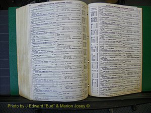 Edgecombe Marriages, A-E, 1867-1937 (436).JPG