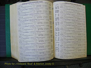 Edgecombe Marriages, A-E, 1867-1937 (458).JPG
