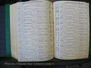 Edgecombe Marriages, A-E, 1867-1937 (460).JPG