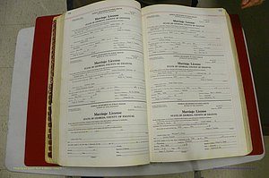 Emanuel Co, GA, Marriages Book L, 1952 - 1962, P 098-099.JPG