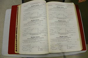 Emanuel Co, GA, Marriages Book L, 1952 - 1962, P 100-101.JPG