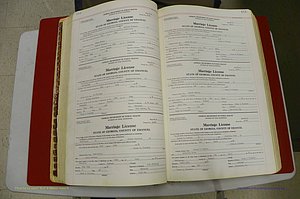 Emanuel Co, GA, Marriages Book L, 1952 - 1962, P 112-113.JPG