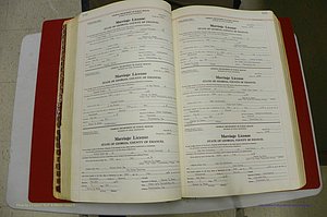 Emanuel Co, GA, Marriages Book L, 1952 - 1962, P 140-141.JPG