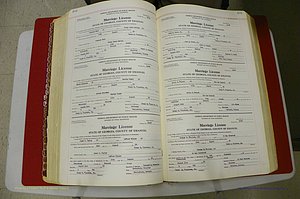 Emanuel Co, GA, Marriages Book L, 1952 - 1962, P 244-245.JPG