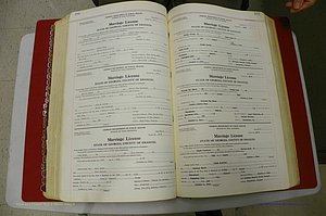 Emanuel Co, GA, Marriages Book L, 1952 - 1962, P 294-295.JPG