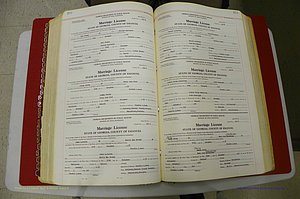 Emanuel Co, GA, Marriages Book L, 1952 - 1962, P 312-313.JPG