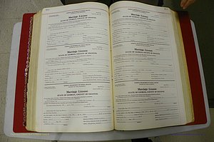 Emanuel Co, GA, Marriages Book L, 1952 - 1962, P 352-353.JPG