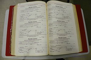 Emanuel Co, GA, Marriages Book L, 1952 - 1962, P 368-369.JPG