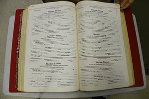Emanuel Co, GA, Marriages Book L, 1952 - 1962, P 384-385.JPG