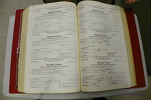 Emanuel Co, GA, Marriages Book L, 1952 - 1962, P 398-399.JPG