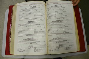 Emanuel Co, GA, Marriages Book L, 1952 - 1962, P 438-439.JPG