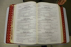 Emanuel Co, GA, Marriages Book M, 1962 - 1974, P 100-102.JPG