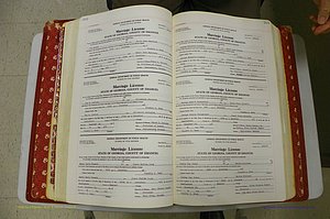 Emanuel Co, GA, Marriages Book M, 1962 - 1974, P 202-203.JPG