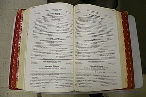 Emanuel Co, GA, Marriages Book M, 1962 - 1974, P 380-381.JPG