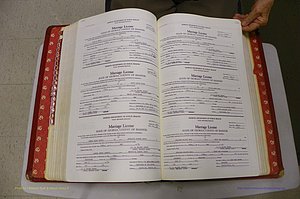 Emanuel Co, GA, Marriages Book N, 1971 - 1979, P 290-291.JPG