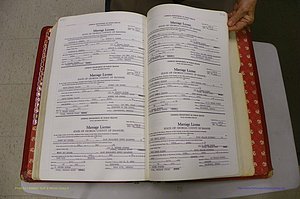 Emanuel Co, GA, Marriages Book N, 1971 - 1979, P 502-503.JPG
