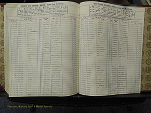 Franklin Co, NC,  Births, A-Z, 1913-1924 (314).JPG