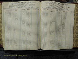 Franklin Co, NC,  Births, A-Z, 1913-1924 (315).JPG