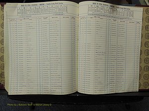 Franklin Co, NC,  Births, A-Z, 1913-1924 (316).JPG