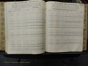Franklin Co, NC, Births, A-Z, 1961-1981 (225).JPG