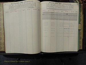 Franklin Co, NC, Births, A-Z, 1981+ (137).JPG