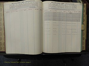 Franklin Co, NC, Births, A-Z, 1981+ (140).JPG