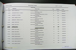 Henderson Co, NC, Births, A - Z, 2000 - 2010, (405).JPG