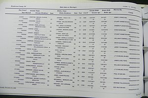 Henderson Co, NC, Marriages Male & Female, 2000 - 2004, (037).JPG
