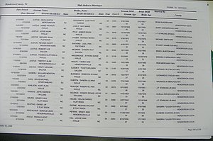 Henderson Co, NC, Marriages Male & Female, 2000 - 2004, (098).JPG