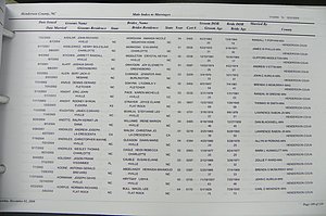 Henderson Co, NC, Marriages Male & Female, 2000 - 2004, (102).JPG