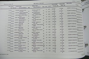 Henderson Co, NC, Marriages Male & Female, 2000 - 2004, (108).JPG