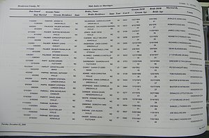 Henderson Co, NC, Marriages Male & Female, 2000 - 2004, (142).JPG