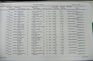 Henderson Co, NC, Marriages Male & Female, 2000 - 2004, (147).JPG