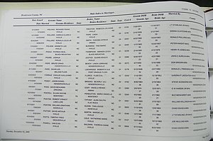 Henderson Co, NC, Marriages Male & Female, 2000 - 2004, (150).JPG