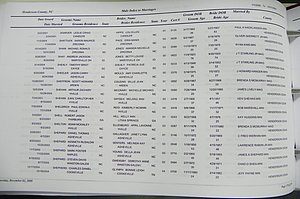 Henderson Co, NC, Marriages Male & Female, 2000 - 2004, (171).JPG