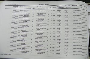 Henderson Co, NC, Marriages Male & Female, 2000 - 2004, (203).JPG