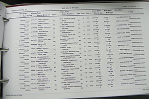 Henderson Co, NC, Marriages Male & Female, 2000 - 2004, (205).JPG