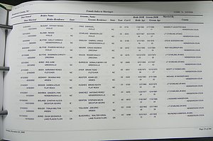 Henderson Co, NC, Marriages Male & Female, 2000 - 2004, (236).JPG