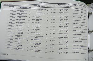 Henderson Co, NC, Marriages Male & Female, 2000 - 2004, (237).JPG