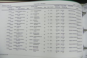 Henderson Co, NC, Marriages Male & Female, 2000 - 2004, (245).JPG