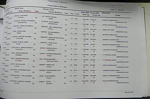 Henderson Co, NC, Marriages Male & Female, 2000 - 2004, (273).JPG