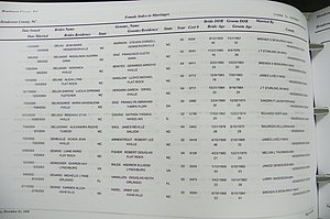 Henderson Co, NC, Marriages Male & Female, 2000 - 2004, (274).JPG